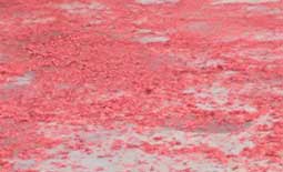 惠州鑫遠程自動化【前處理包銅箔脫鋁箔一體機】初八開工啦??！